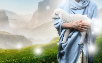 Who is Jesus and Why Should I Care?